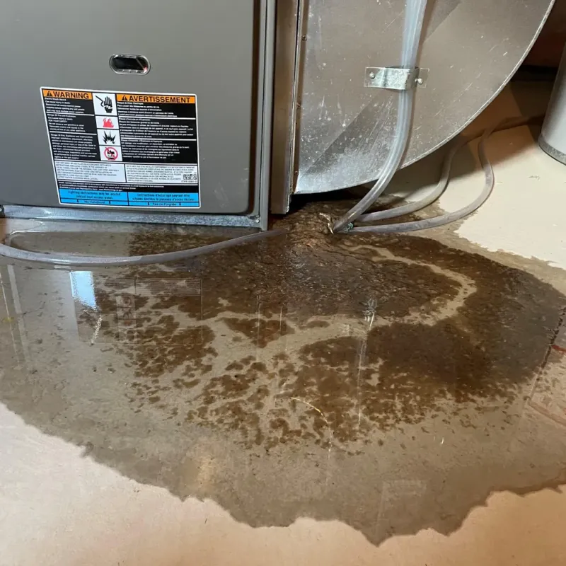 Appliance Leak Cleanup in Bennsville, MD